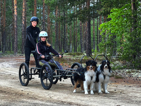 Dog cart with two mushers pulled by two dogs on dirt road