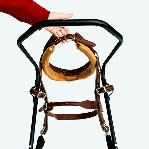 Sacco dog harness in handmade leather seen from above